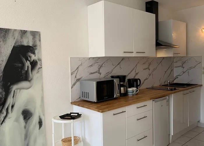 573 2 Pers Port Nature 4 En Face Du Waiki Διαμέρισμα Agde